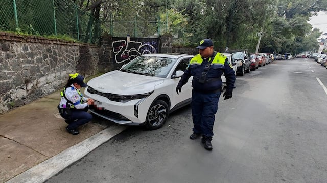 Coyoacán emprende acciones para preservar el Puente de Panzacola
