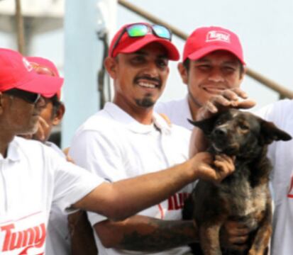 Bella, perrita que sobrevivió junto a Tim Shaddock