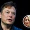 Elon Musk habla del juicio de Johnny Depp vs Amber Heard