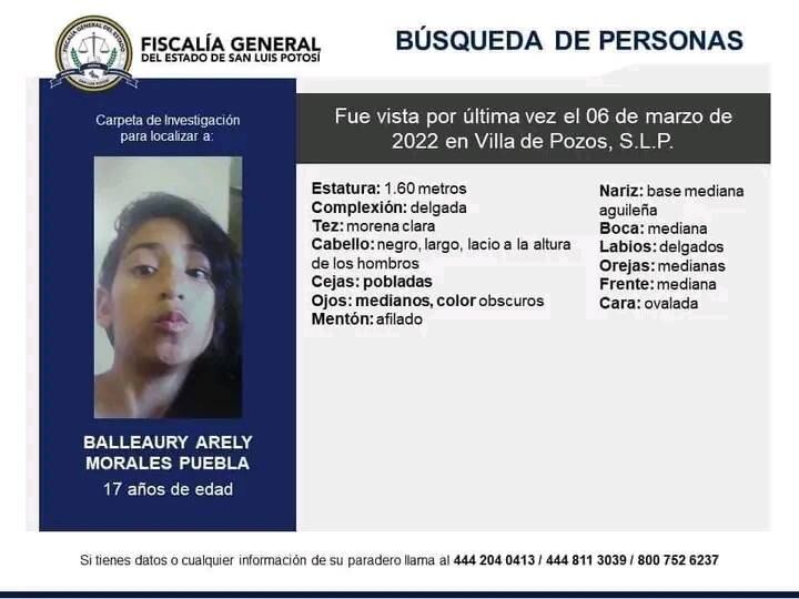 Ficha de búsqueda de Balleaury