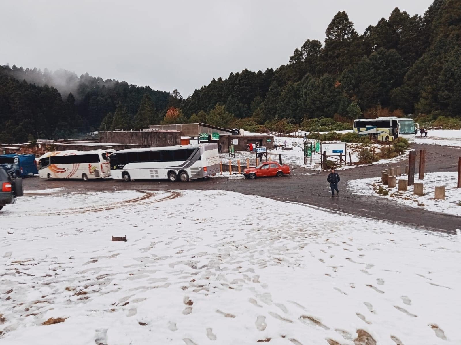 Nieve en santuario de la Mariposa Monarca