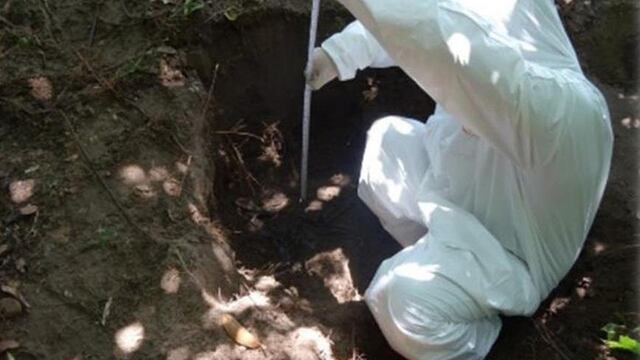 Fosas de Alvarado, Veracruz