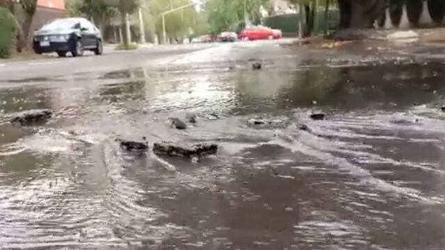 Reportan fuga de agua en Lomas de Chapultepec