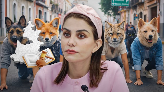 La diputadav Nay Salvatori propone legislar el movimiento Therian