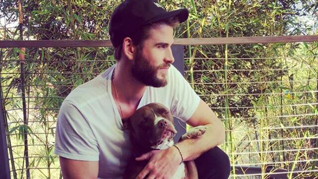Liam Hemsworth