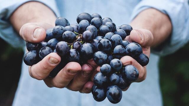Uvas
