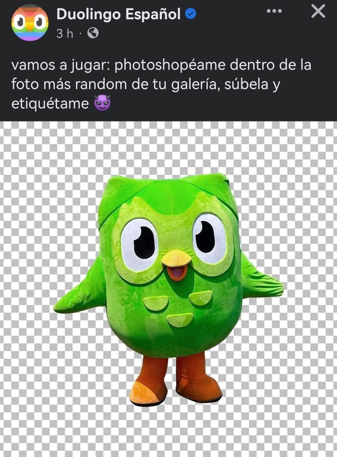 Búho de Duolingo le sabe a La Casa de los Famosos México pero también es víctima de memes