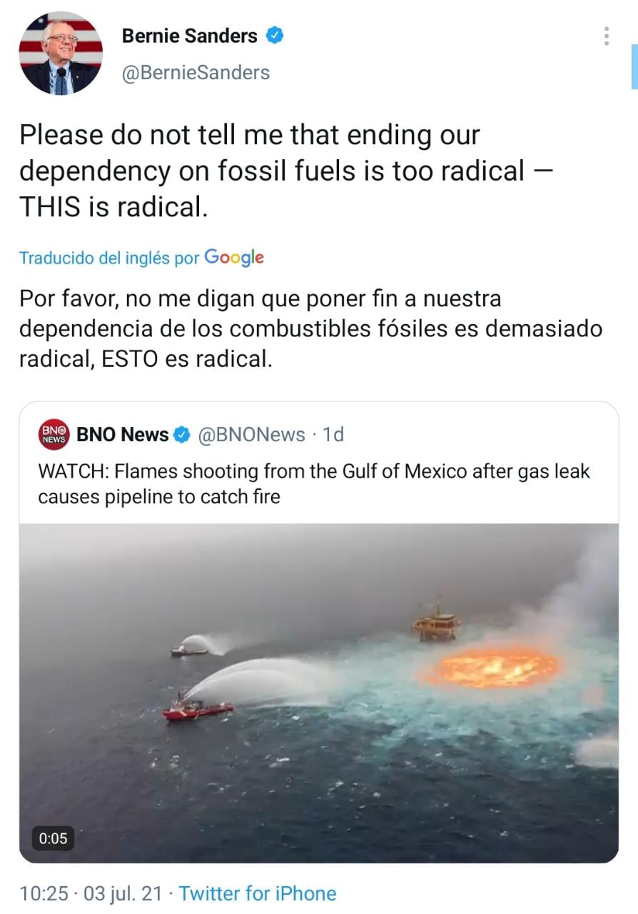 Críticas de Bernie