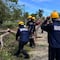 Lidia se degradó a baja presión remanente hoy 11 de octubre: Deja estructuras caídas en Puerto Vallarta