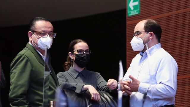 Integrantes del Grupo Plural en el Senado de la República