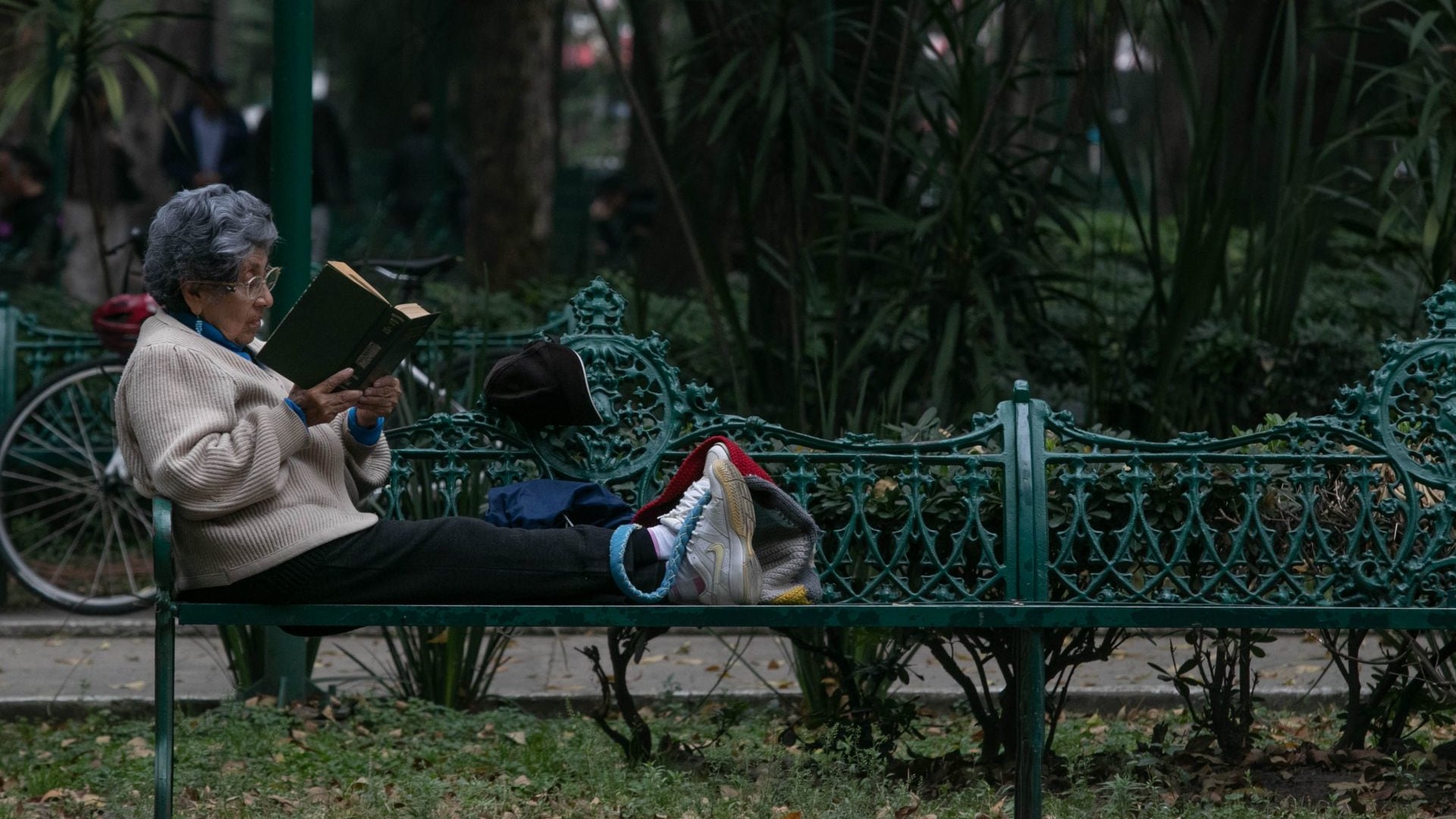 El parque sin luz: ¿Costara mucho cambiar las luminarias?
