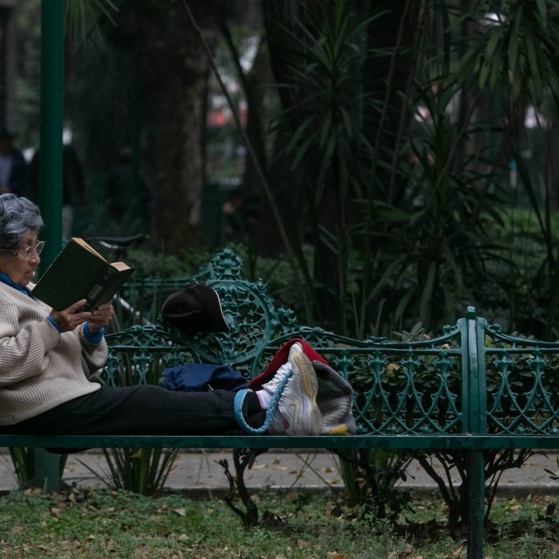 El parque sin luz: ¿Costara mucho cambiar las luminarias?