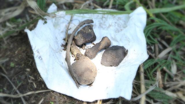 Restos humanos encontrados en fosa clandestina