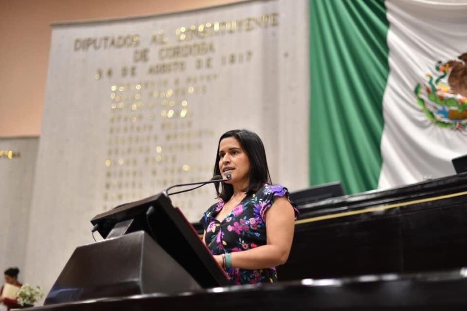 Magaly Armenta Oliveros, diputada que presentó la Ley Nahle ante el Congreso de Veracruz