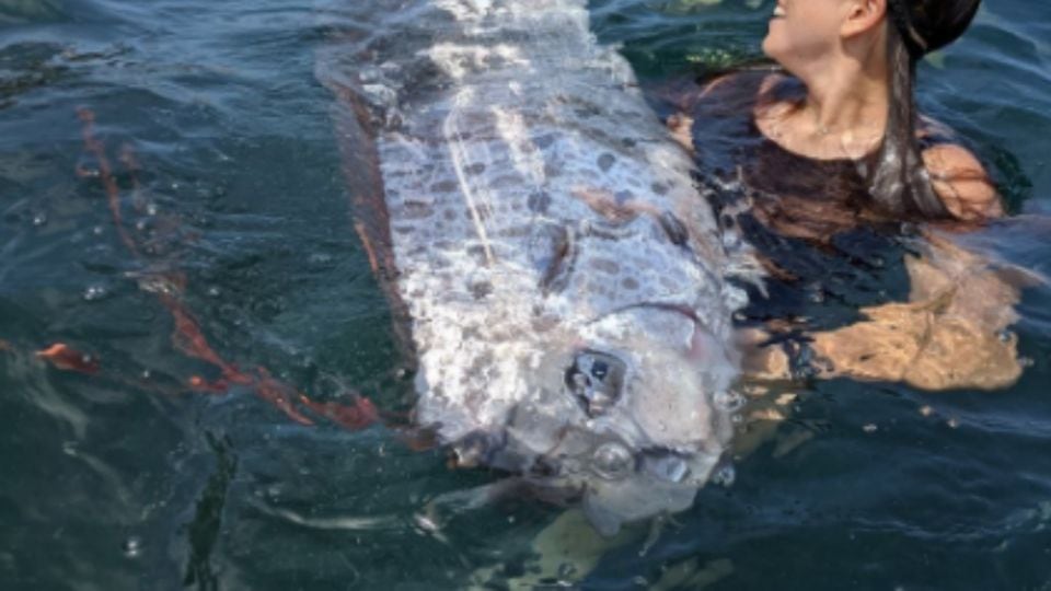 pez del juicio final