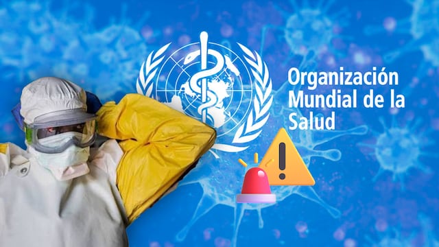 La OMS advirtió riesgos globales ante los recientes brotes de ébola y hantavirus registrados durante mayo