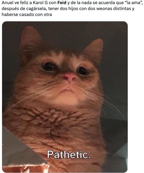 Memes tunden a Anuel AA por tirarle de nuevo a Feid