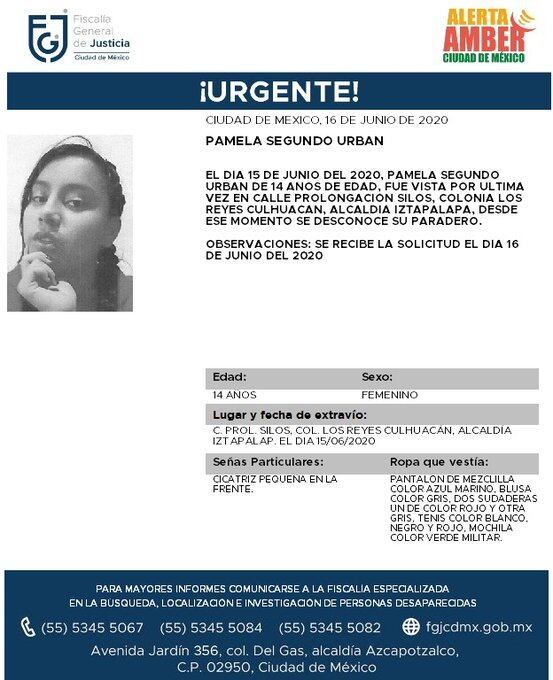 Ficha de búsqueda de Pamela.