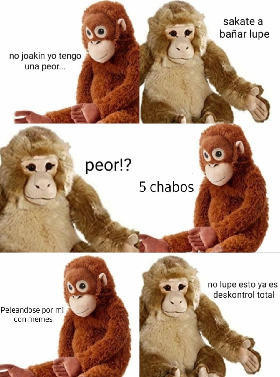 Meme de orangután 'Lupe'