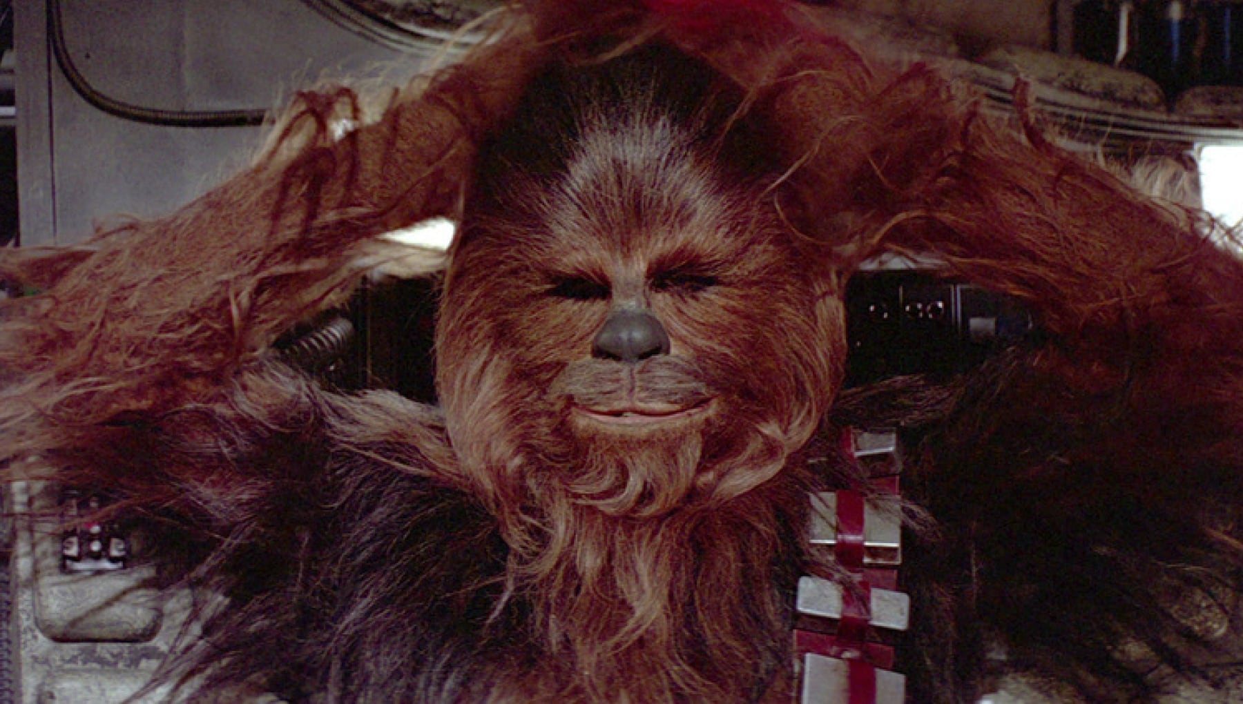 Chewbacca