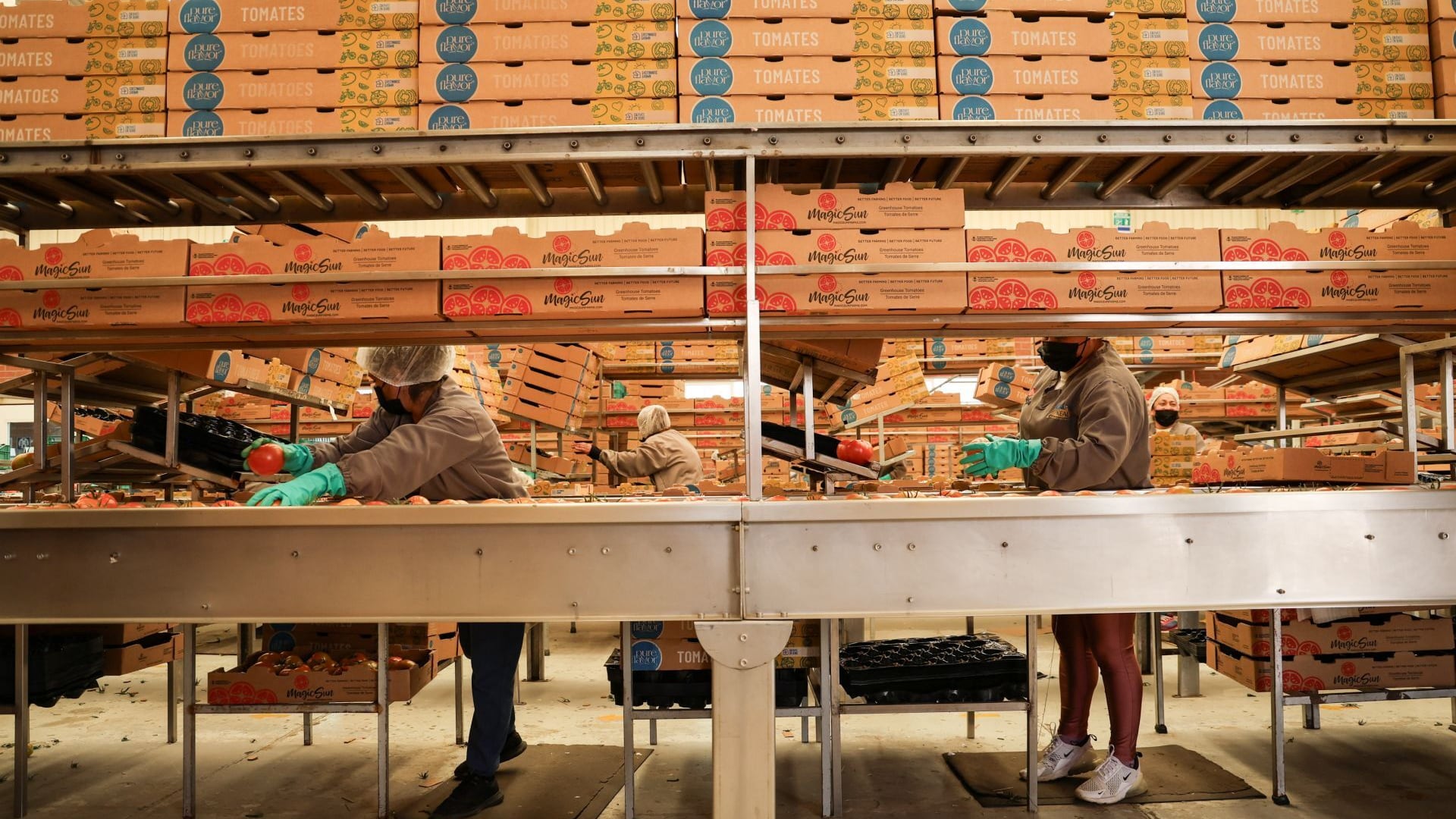 México en el callejón de las decisiones