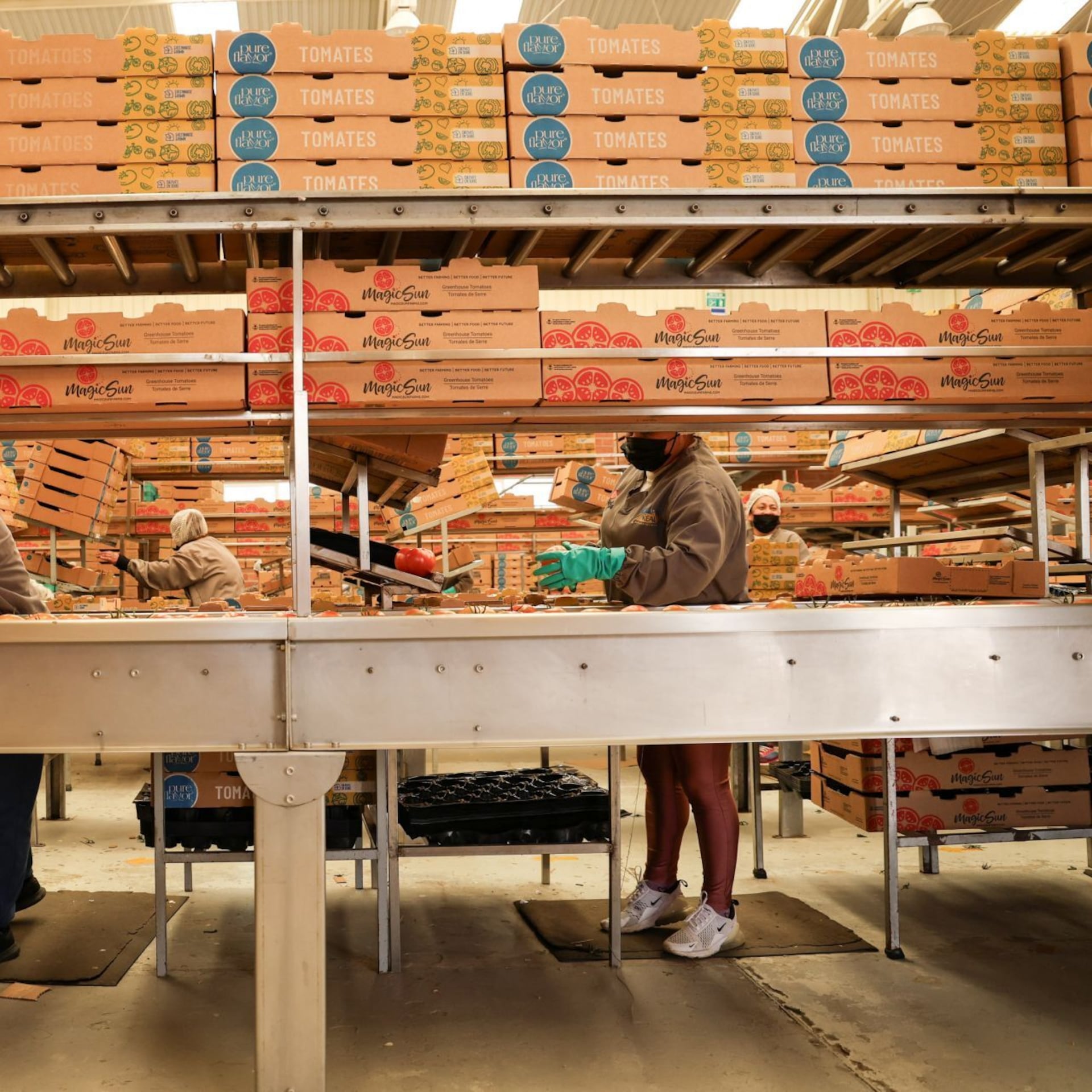 México en el callejón de las decisiones