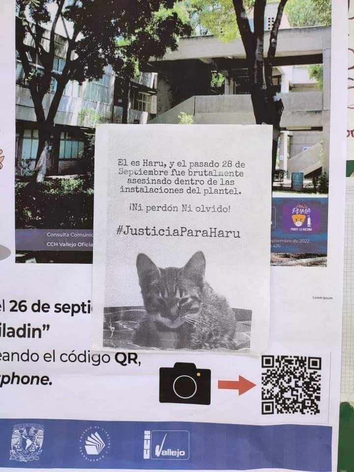 Denuncia por tortura contra Haru