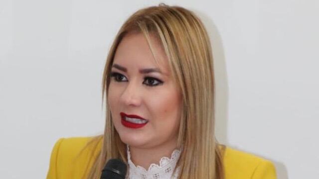 La vicecoordinadora del Partido Verde, Teresa Ramos Arreola presentará la próxima semana reformas al Código Penal.