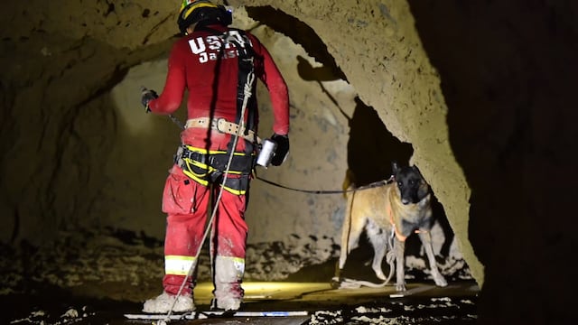 Binomio canino falla en detectar mineros atrapados en mina Santa Fe