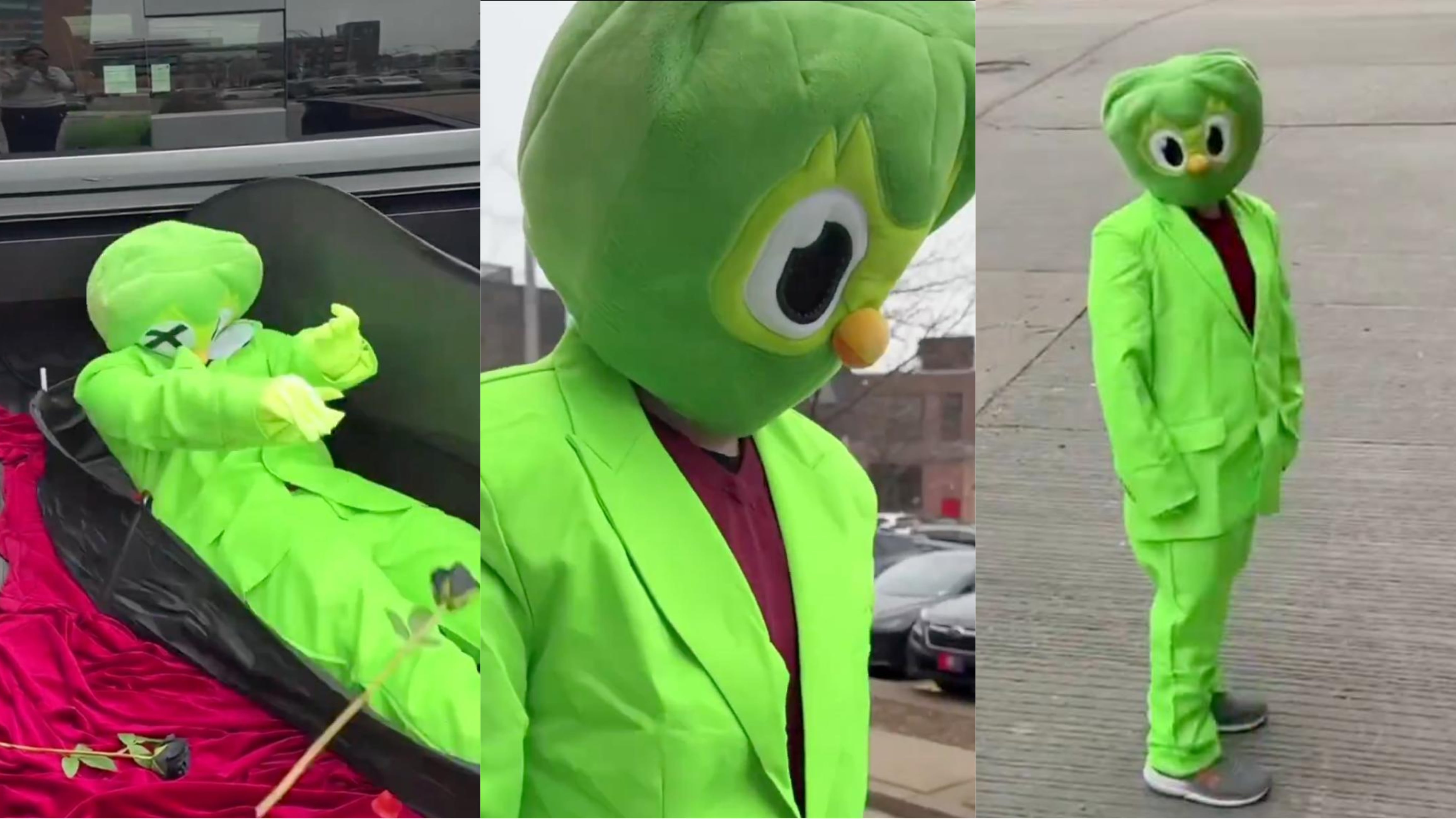 ¿Duolingo murió? El búho Duo resucitó y nos pregunta si creíamos que un Cybertruck lo mató