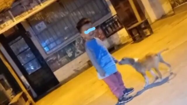 Niño y perrito jugando en la calle