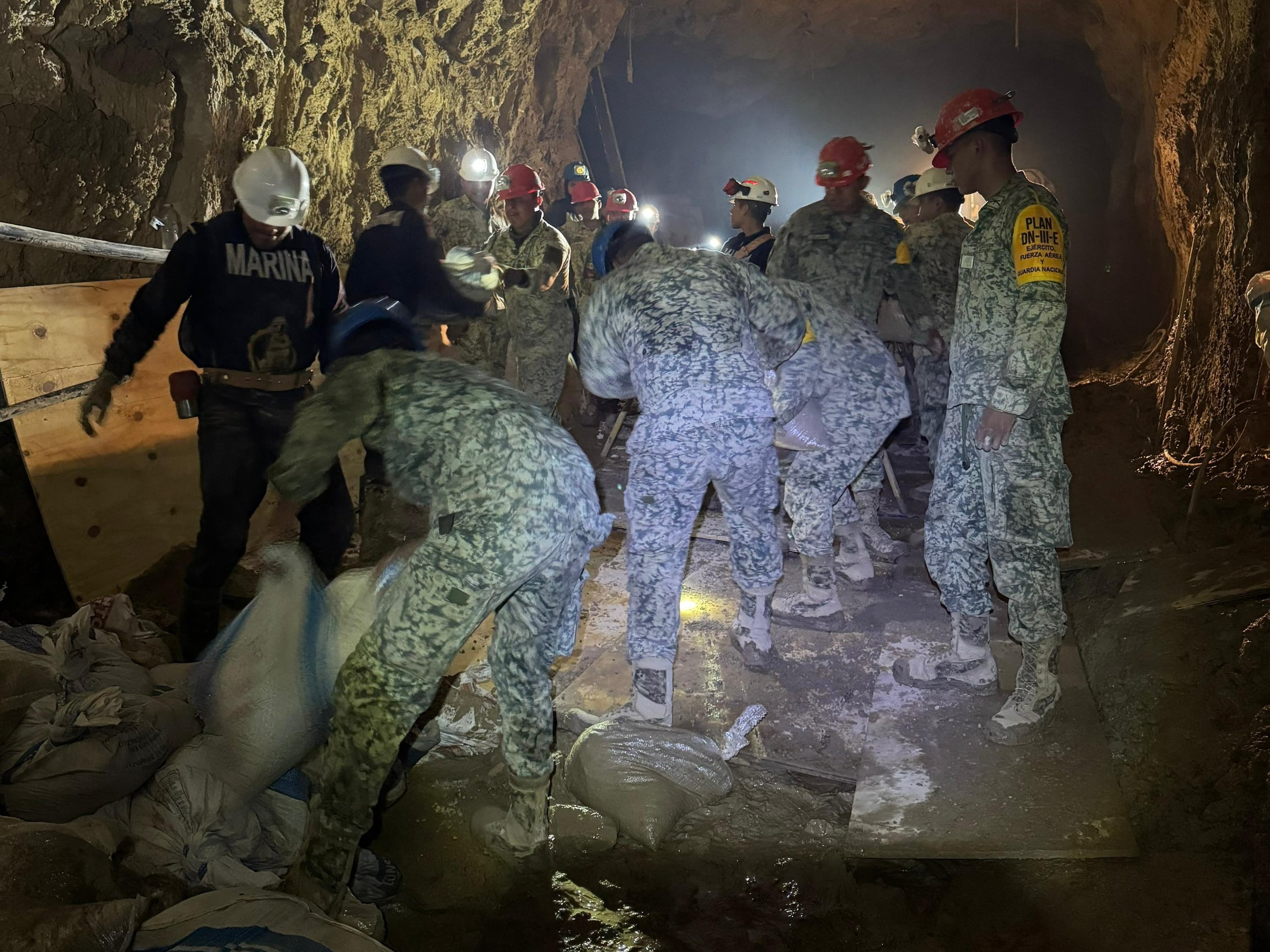 Binomio canino falla en detectar mineros atrapados en mina Santa Fe