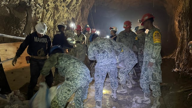 Binomio canino falla en detectar mineros atrapados en mina Santa Fe