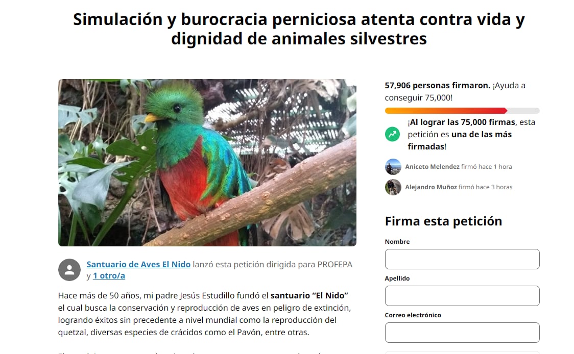 El Nido crea firma de 'change.org' para que lo reabran.