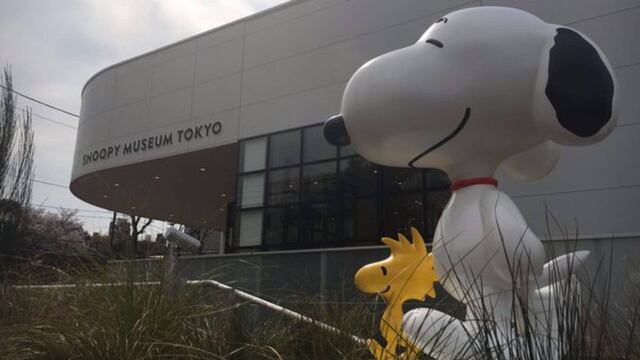 Museo Snoopy