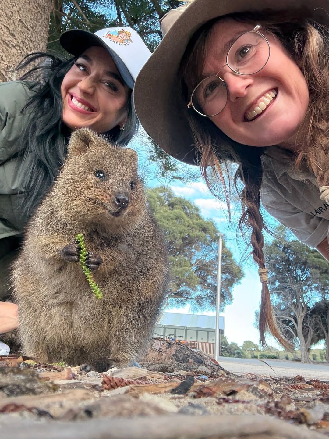 Katy Perry disfruta de Australia y los Quokka
