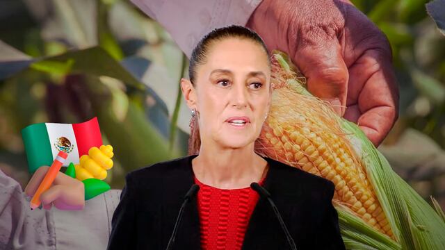 Claudia Sheinbaum comparte el acuerdo que firmó con productores de maíz.