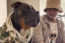 Hermana de B-King crea fundación en memoria del cantante asesinado