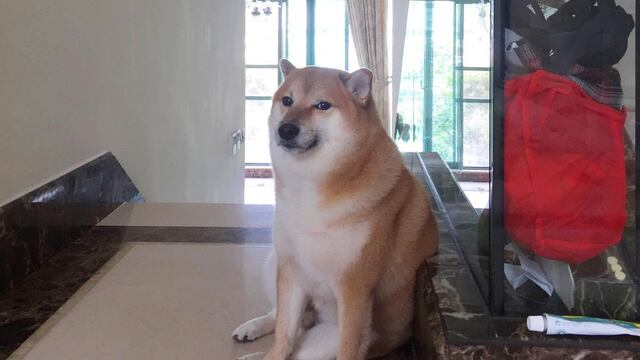 Cheems original desea Feliz Navidad