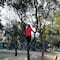 Beatriz Gutiérrez desea feliz domingo arriba de un árbol (FOTO)