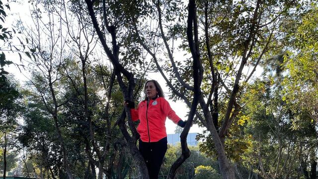 Beatriz Gutiérrez Müller arriba de un árbol