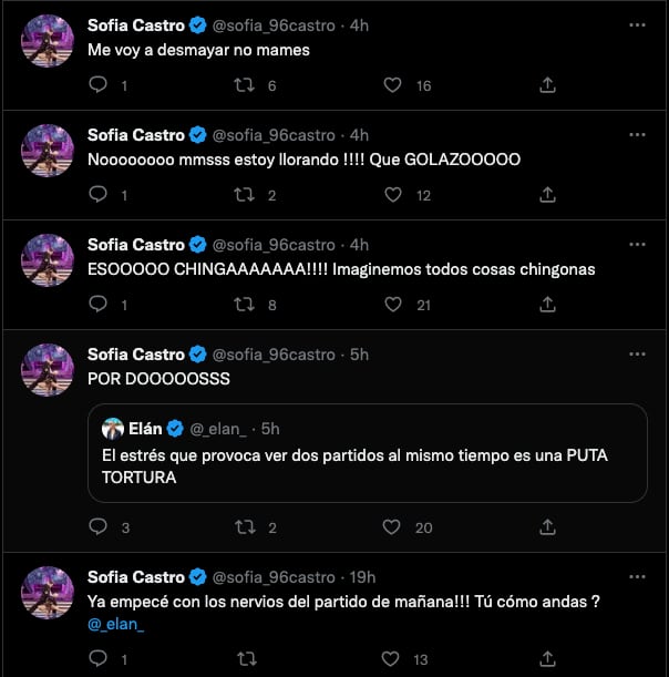 Sofía Castro pidió a los aficionado pensar 'cosas chidas'