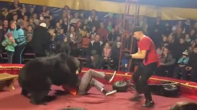 Oso ataca a su domador durante una función de circo.