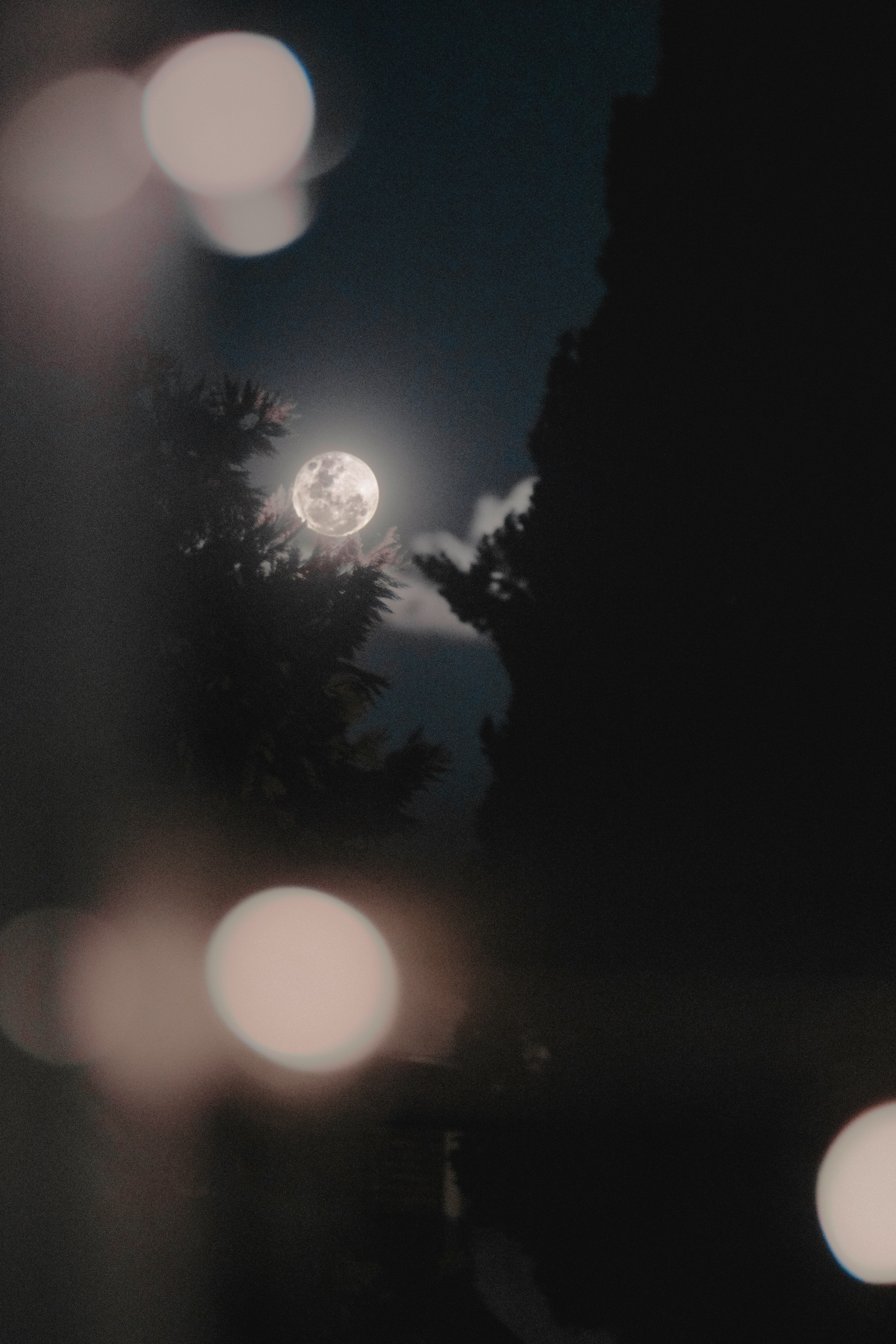 Significado Luna del Castor de noviembre 2024