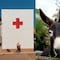 ¿Qué se celebra el 8 de mayo? Hoy es Día de la Cruz Roja, Día Mundial del Cáncer de Ovario y Día Mundial del Burro