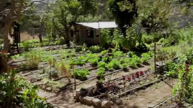 Granja agroecológica capacita a campesinos de Taxco para crear su propia fuente de trabajo