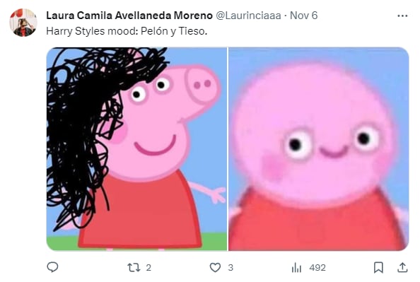 Memes por Harry Styles pelón