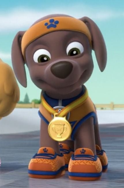 ¿Qué raza es Zuma de Paw Patrol?