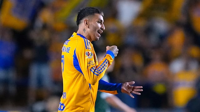 Tigres vs Necaxa: Día, hora y canal para ver el partido de la Jornada 13 de Liga MX