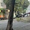 ¿Qué pasa en la alcaldía Cuauhtémoc hoy 30 de julio? Cae árbol en colonia Obrera y provoca caos vial